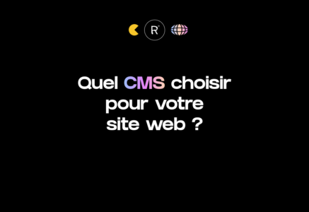 quel cms site web miniature